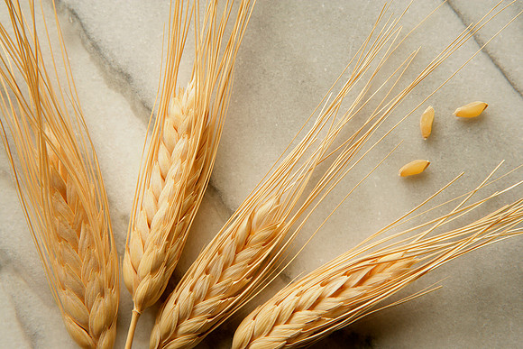 Wheat