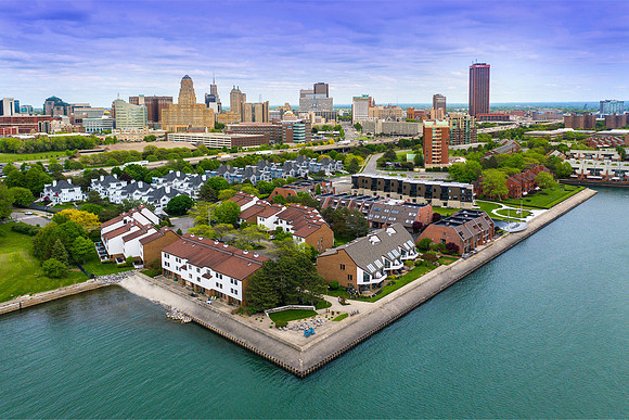 Buffalo Drone