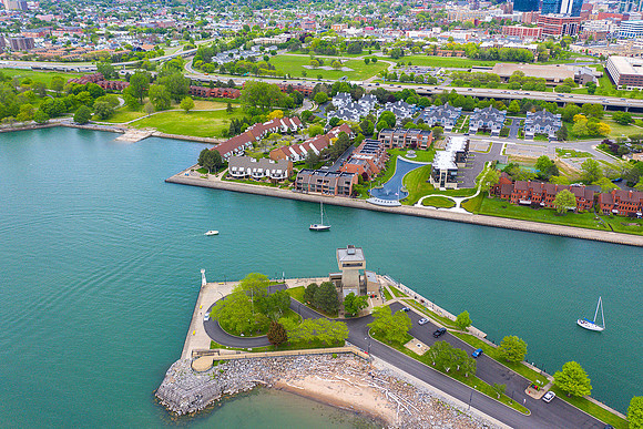 Buffalo Drone2