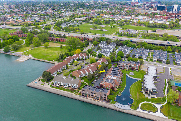 Buffalo Drone3